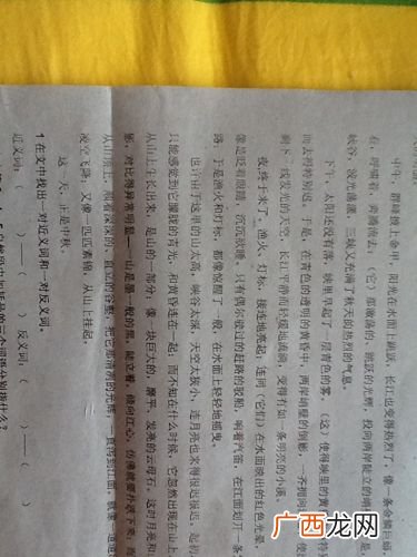 呐喊的一对近义词,跟呐喊结构相同的近义词？