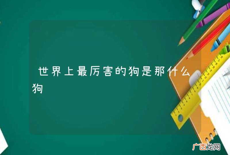 世界上最厉害的狗是那什么狗