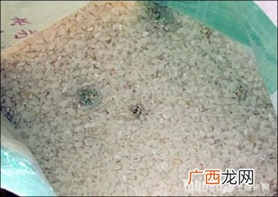 大米发霉是什么样子,什么样的大米是发霉大米?大米发霉了怎么办？