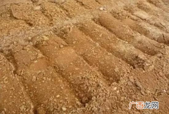 沙泥是什么土壤,什么是日本对虾养殖技术措施？