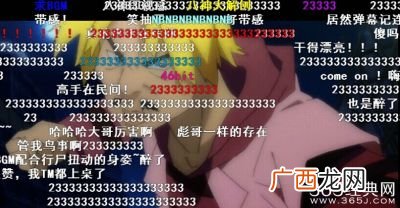 2333什么意思,聊天www是什么意思？
