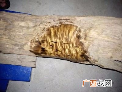 乌木是什么,乌木是松树么？