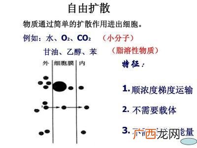 脂溶性物质也属于脂质吗,亲脂性和脂溶性的区别?
