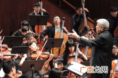 民族管弦乐和西洋管弦乐分类,什么是西洋管弦乐？