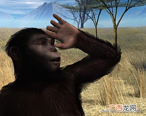 从猿人到人类的进化经历了多少年,猿人进化到现代人类用了多少年？