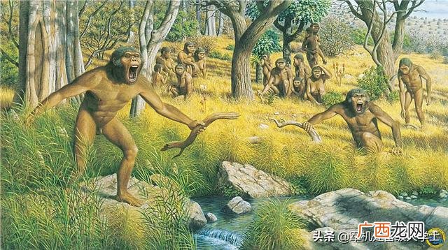 从猿人到人类的进化经历了多少年,猿人进化到现代人类用了多少年？