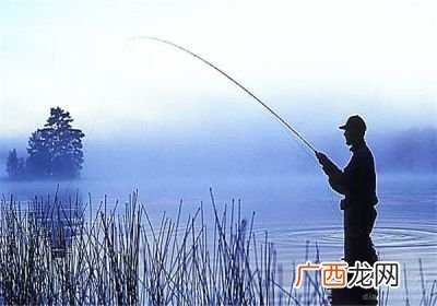 路亚钓鱼方法,路亚入门教学？