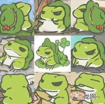 如何养青蛙,幼蛙放养的正确方法？