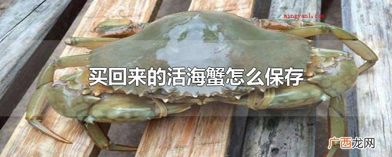 买回去的活螃蟹如何保存 买回来的活海蟹怎么保存