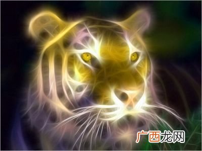 世界上会发光的动物叫什么,水母会发光吗？