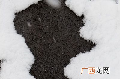 二硫化碳是什么东西,cso2什么气体？