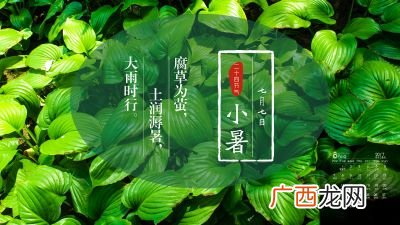 小暑代表什么,三伏的寓意和象征？