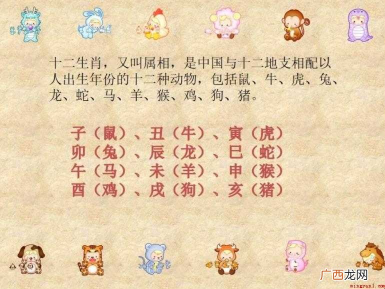 十二生肖的顺序是什么