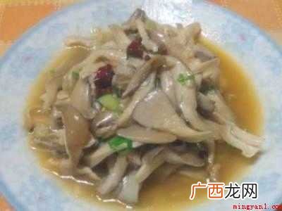 大叶蘑菇怎么炒好吃