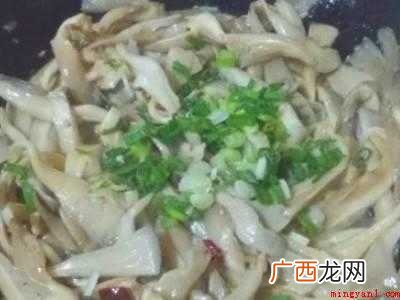大叶蘑菇怎么炒好吃