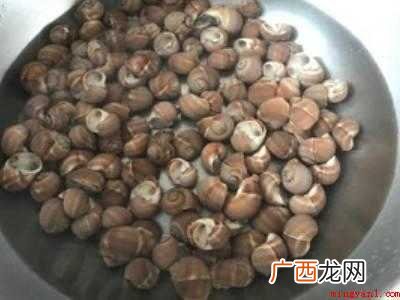 香螺怎么做