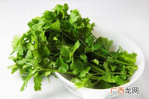 香菜又叫什么名字,哪里叫芫荽？