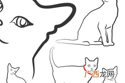 匹字可以组什么词语,pi三声的组词可以有哪些？