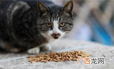 猫咪嘴巴臭怎么办,猫特臭，怎么办？