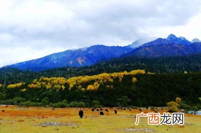 鲁朗海拔,川藏线沿途海拔？