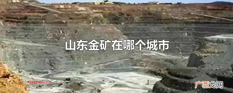山东省金矿在莱州和招远市 山东金矿在哪个城市