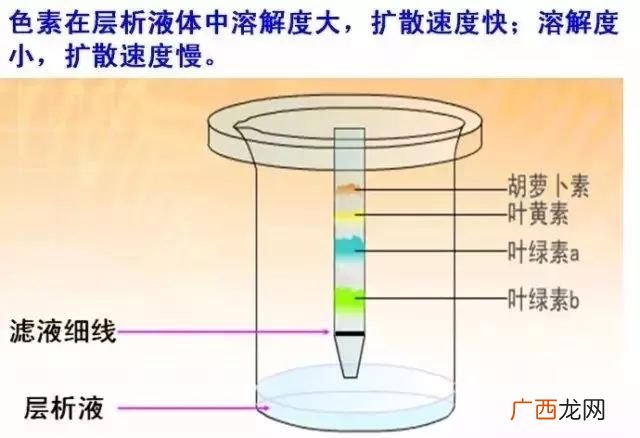 层析法分离物质的基本原理是,色谱法的基本原理是什么？