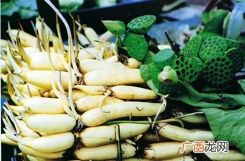 莲藕之乡在那里,连云港特色产业之乡？