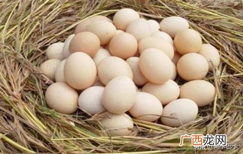 母鸡孵化小鸡温度保持在几度,鸡蛋孵化时所需要的温度是多少？