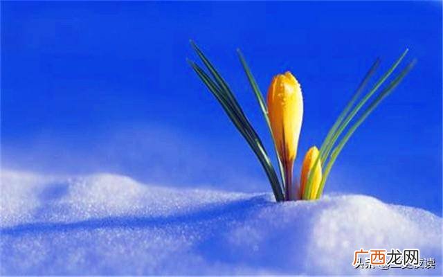 相由心生境由心造是什么意思,境由心造相由心生福祸有源？