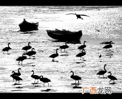 胜似闲庭信步什么意思,闲庭信步上一句是什么？