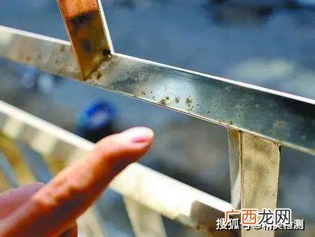 铝合金和不锈钢哪个容易生锈,不锈钢铝合金哪个承重好？