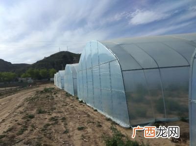 暖棚和冷棚有什么区别,丝瓜冷棚和暖棚区别？