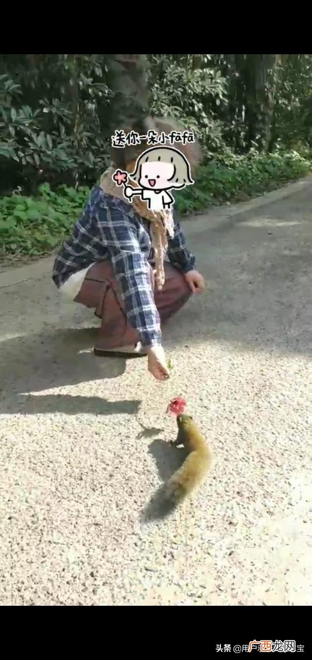 什么原因会引起心痛,为什么喜欢一个人会有一种心痛的感觉?
