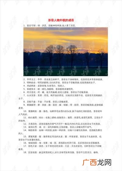 描写人物外貌的成语,描写人物外貌、神态、动作、说话情态、心理、品质的成语，四个以上？