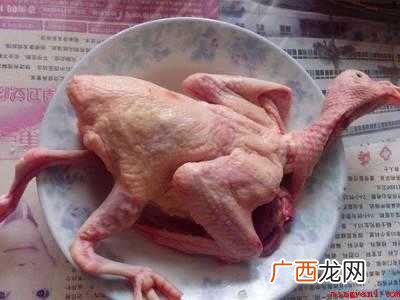 怎么炖鸽子