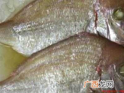 真鲷鱼怎么做好吃