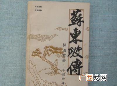 苏东坡传每章内容概括,读林语堂《苏东坡传》第一章概括苏轼人物形象？