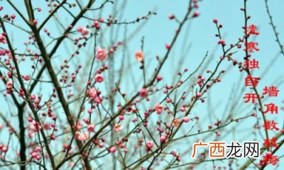 十一月是冬月吗,11月叫冬月还是腊月？