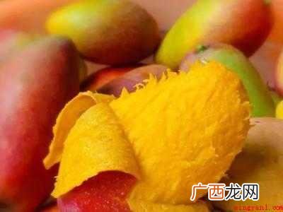 贵妃芒怎么催熟