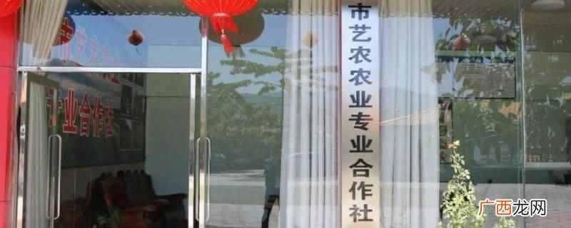 合作社可以代开发票吗 合作社代开发票可以吗
