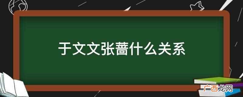 于文文和张蔷在《乘风破浪的姐姐3》里当过队友 于文文张蔷什么关系
