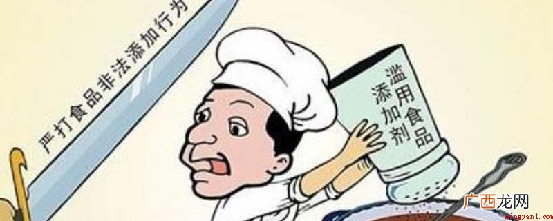 食品添加剂在使用中应有确立的检测方式 食品添加剂的使用原则