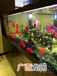 休闲水会是什么场所,什么是休闲渔业？