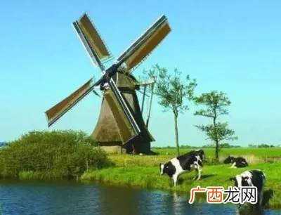 荷兰大风车有什么作用,风车的种类作用？