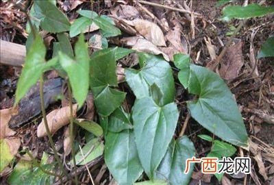 两金是什么,古代的钱是怎样换算的？一两黄金，一两银子，一钱银子和一文钱之间怎么换算？