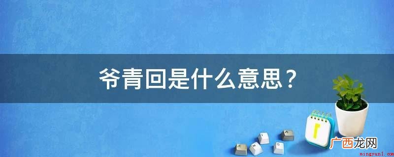 网络流行词,描述与青春年少久别相逢的愉悦 爷青回是什么意思？