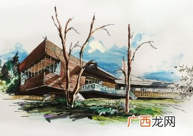 绘画分为哪几个画种,美术分为几大类？