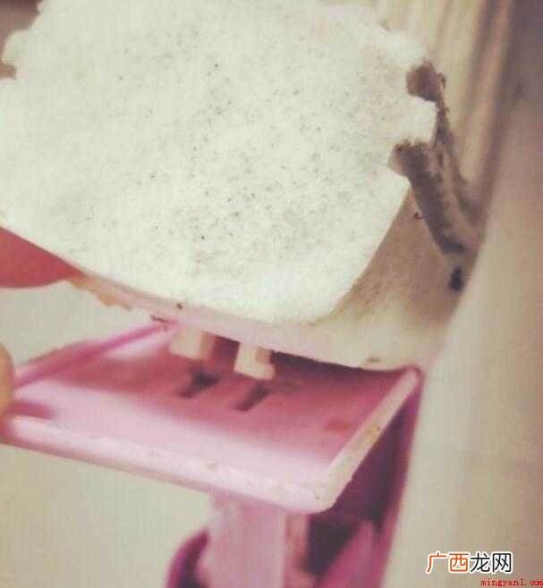 拖把头怎么换