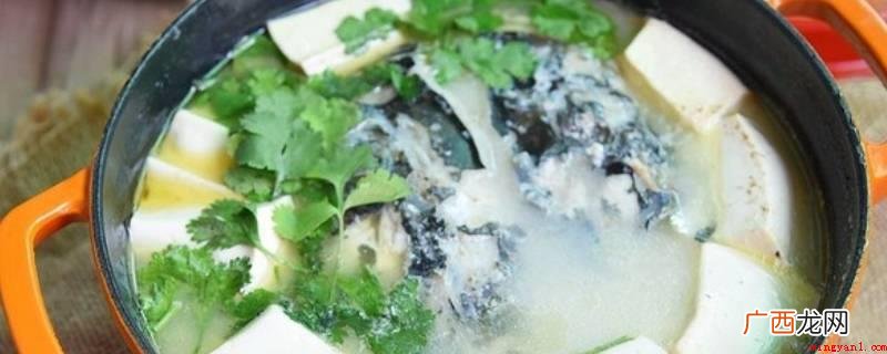 鱼头和豆腐的食用_健康频道 鱼头豆腐汤的做法