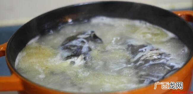鱼头和豆腐的食用_健康频道 鱼头豆腐汤的做法